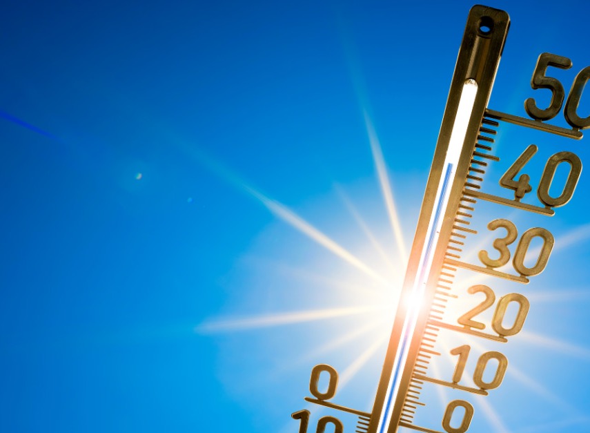 Canicola: quali precauzioni adottare in caso di temperature elevate?