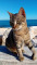 avatar Margi74